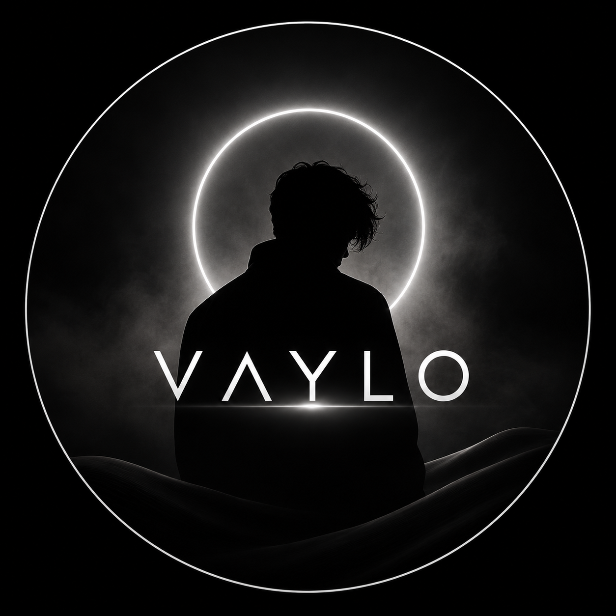 VAYLO